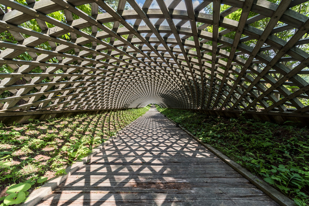 architecture8