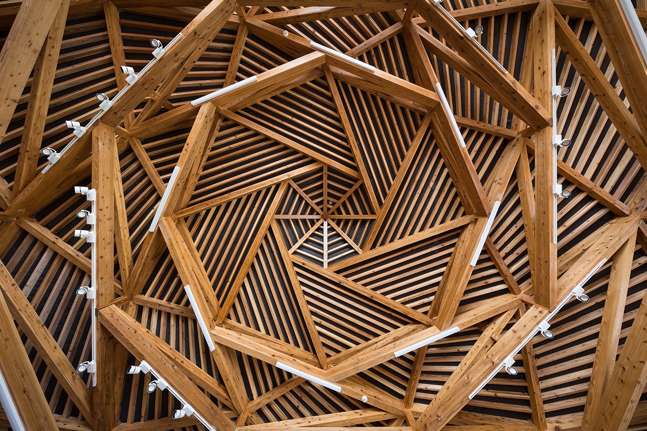Wood Image 2